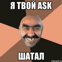 Я твой ask Шатал