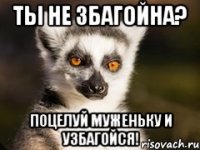 ТЫ НЕ ЗБАГОЙНА? ПОЦЕЛУЙ МУЖЕНЬКУ И УЗБАГОЙСЯ!