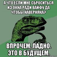 А что если мне сброситься из окна ради вайфу да чтобы наверняка? Впрочем, ладно. Это в будущем.