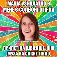 Маша узнала шо в мене є сольоні огірки прилетіла швидше, ніж муха на свіже гівно