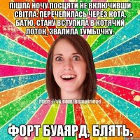 пішла ночу посцяти не включивши світла: перечепилась через кота, батю, стану вступила в котячий лоток, звалила тумбочку. форт буаярд, блять.