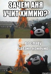 зачем Аня учит химию? 