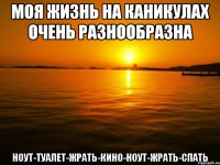 Моя жизнь на каникулах очень разнообразна Ноут-Туалет-Жрать-Кино-Ноут-Жрать-Спать