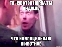 То чувство когда ты видишь что на улице пинаю животное