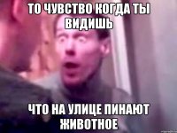 То чувство когда ты видишь что на улице пинают животное