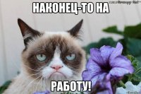 Наконец-то на Работу!