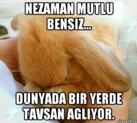 Nezaman Mutlu bensiz... Dunyada bir yerde tavsan agliyor.