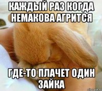 Каждый раз когда немакова агрится где-то плачет один зайка