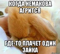 когда немакова агрится где-то плачет один зайка