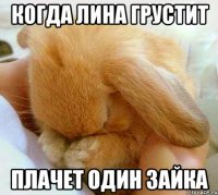 Когда Лина грустит плачет один зайка
