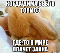 Когда Дима бьёт в тормоз Где-то в мире плачет зайка