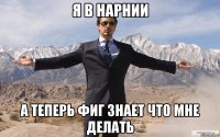 Я в Нарнии а теперь фиг знает что мне делать