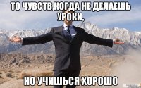 то чувств,когда не делаешь уроки, но учишься хорошо