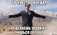 то чувство когда, не делаешь уроки,но учишься хорошо