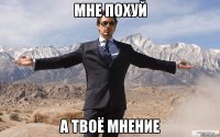 Мне похуй А твоё мнение
