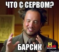 Что с сервом? БАРСИК