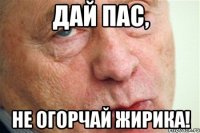 Дай пас, не огорчай Жирика!