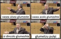 vasea aisea glumeste vasea acolo glumeshte si dincolo glumeshte glumetzu pulei