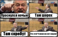Проснулся ночью Там шорох Там скребут Кто это? У меня же нет кошки!