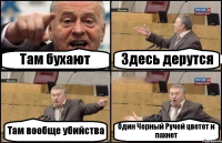 Там бухают Здесь дерутся Там вообще убийства Один Черный Ручей цветет и пахнет
