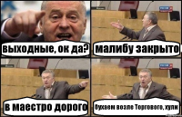 выходные, ок да? малибу закрыто в маестро дорого бухаем возле Торгового, хули