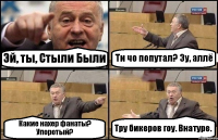 Эй, ты, Стыли Были Ти чо попутал? Эу, аллё Какие нахер фанаты? Упоротый? Тру бикеров гоу. Внатуре.