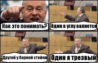 Как это понимать? Один в углу валяется Другой у барной стойки Один я трезвый
