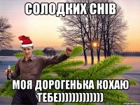 солодких снів моя дорогенька кохаю тебе)))))))))))))