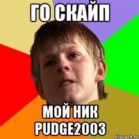 го скайп мой ник pudge2003