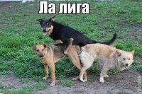 Создать мем 1