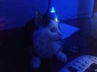 Создать мем asot