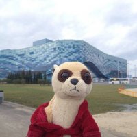 Создать мем Чтооо