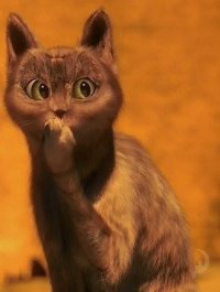 Создать мем кот