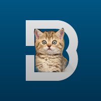 Создать мем Котик Восточного Варианта
