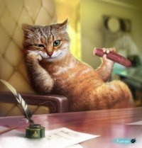 Создать мем Омский Котэ