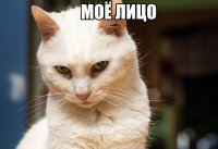Создать мем вавыа