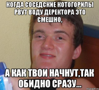 когда соседские котогорилы рвут воду деректора это смешно, а как твои начнут,так обидно сразу...