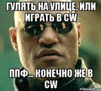 Гулять на улице, или играть в CW Ппф... Конечно же в CW