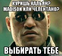 Куришь кальян? Madison или Челентано? выбирать тебе