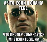 А что, если я скажу тебе, что Пропер собирается мне купить уши?