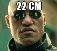 22 cm 