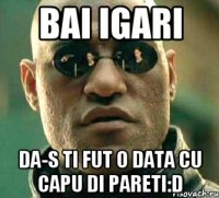 bai igari da-s ti fut o data cu capu di pareti:D