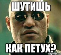 Шутишь как петух?