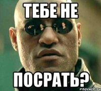 тебе не посрать?