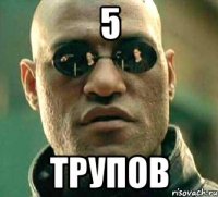 5 трупов