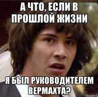 а что, если в прошлой жизни я был руководителем вермахта?