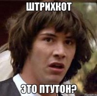 Штрихкот это ПТУТОН?