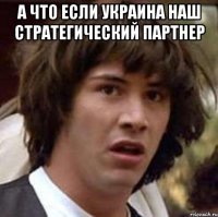 А что если Украина наш стратегический партнер 