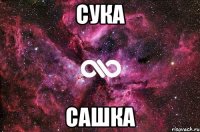 сука сашка