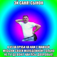 Эй саня! сынок а ну ка вруби ка нам с мамкой музыки своей молодёжной! только не ту где воют как псы дворовые!